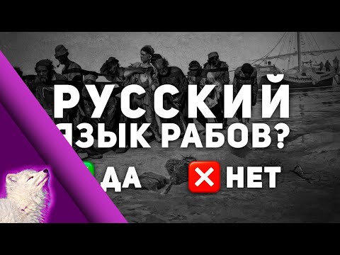 Видео: Хрендяблики говорят на языке рабов