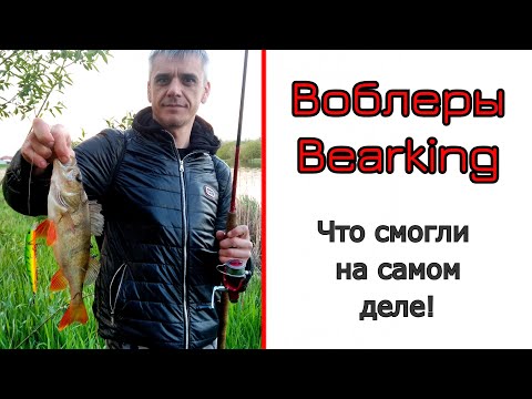 Видео: Воблеры #Bearking. Знакомство. Рыбалка. Равномерка против твичинга.