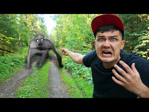 Видео: 24 часа в лесу, где живет монстр!