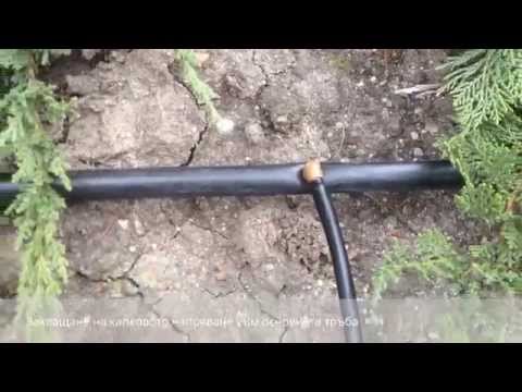 Видео: Как да си направим капково напояване?