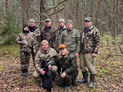 Видео: Пуховичские испытания по белке и кунице 2025