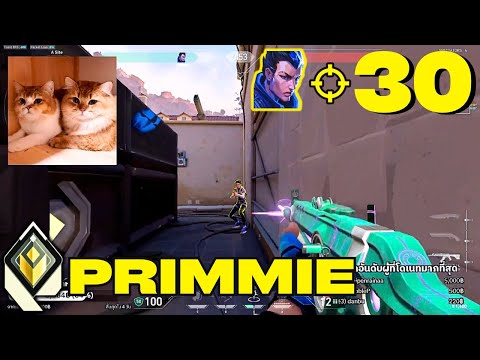 Видео: PRIMMIE против THYY и CRWS в рейтинге!! - TLN Primmie [APAC]