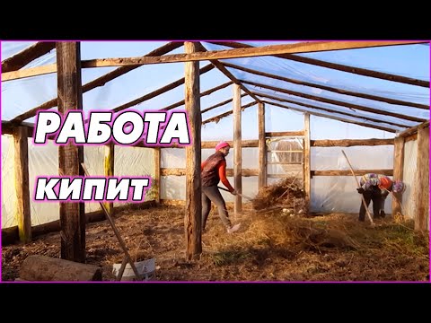 Видео: Малыши хотят в теплицу! Мама приехала! Обзор теплицы. ДР. Работа кипит