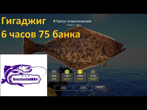Видео: РР4.Норвежское Море.6 часов на Гигаджиг . 75 банка