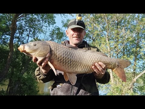 Видео: Боковой кивок - это сила. Эпичная битва с монстром!!!.