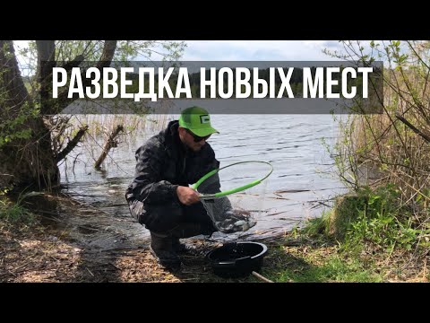 Видео: 5 СОВЕТОВ ПО ЛОВЛЕ ПЛОТВЫ НА ФИДЕР! Рыбалка на Минском море