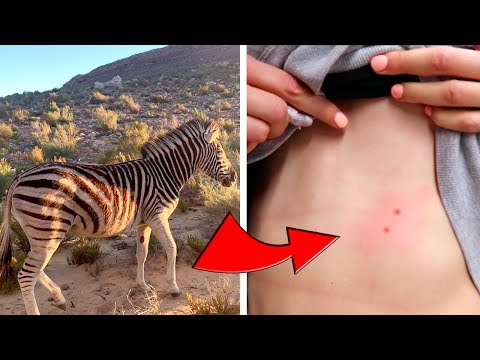 Видео: Нещо я ухапа в Южна Африка!!