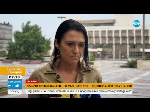 Видео: Кучето, влачено за кола в Банско, е без наранявания. Собственикът ще бъде санкциониран