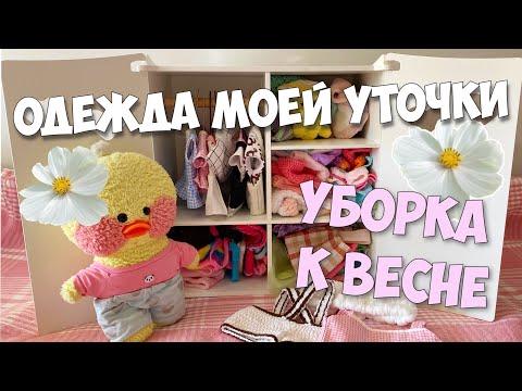 Видео: ОДЕЖДА УТОЧКИ МИЛКИ | Весенняя Уборка в шкафу
