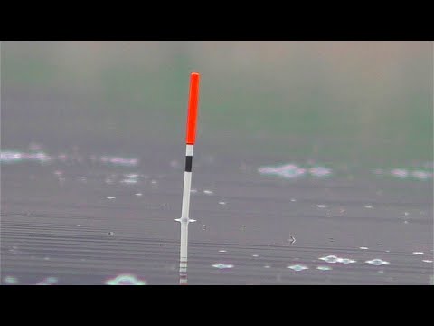 Видео: Рыбалка на карася (ПОПЛАВОК) У жены клюет , у меня нет. Почему? My fishing