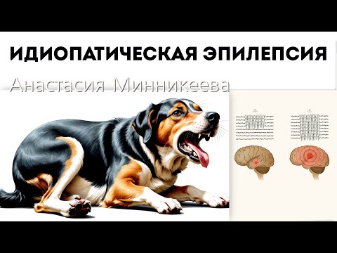 Видео: Идиопатическая эпилепсия