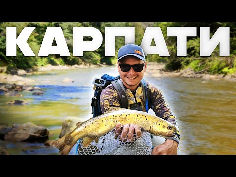 Видео: РАЙ ДЛЯ РИБАЛОК. Ловля форелі у Карпатах.