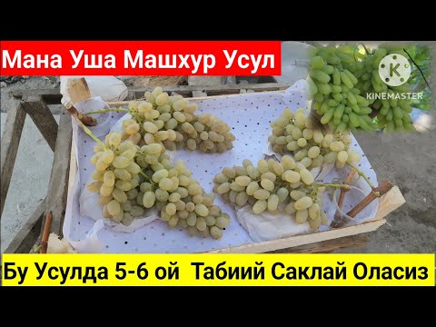 Видео: Узумни "Бакалашка" Усулида Узок Вакт Саклаш.Батавсил Ма'лумот.