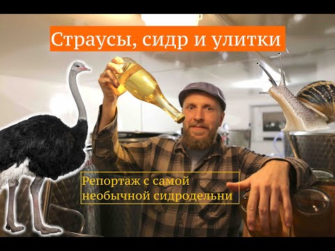 Видео: Репортаж с самой экзотической сидродельни
