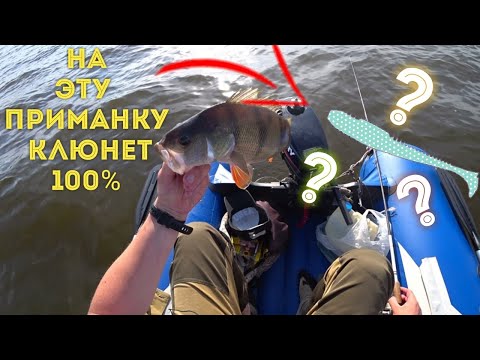 Видео: Ловля крупного окуня на  отводной поводок.