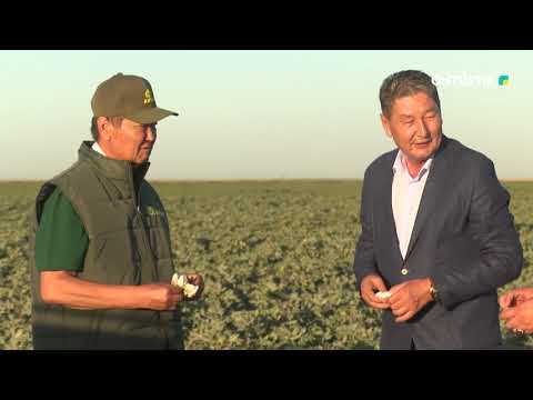 Видео: "ЕЛДЕН ХАБАР" /// ҰЛЫЛАР ОТАНЫ - ОТЫРАР