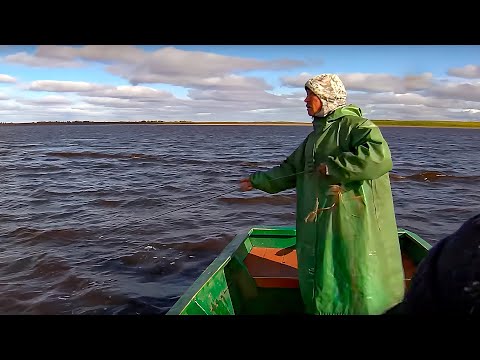 Видео: Хвалю, юнга! Или промысловая рыбалка на Крайнем Севере | С полем!