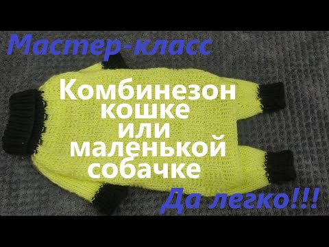 Видео: Вязаный комбинезон для кошки или маленькой собачки.