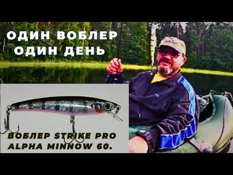 Видео: Эксперимент ОДИН ВОБЛЕР ОДИН ДЕНЬ открыл мне глаза на некоторые завалявшиеся приманки