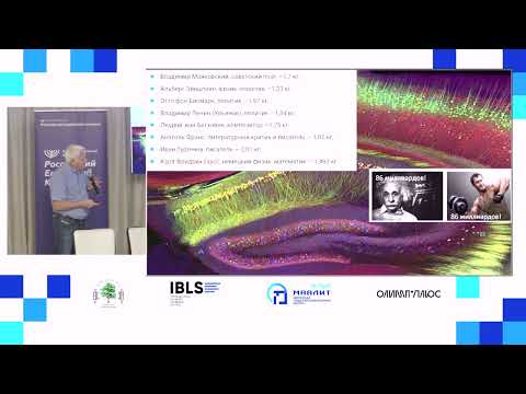 Видео: Лекция психофизиолога, профессора биофака МГУ имени М. В. Ломоносова Александра Каплана