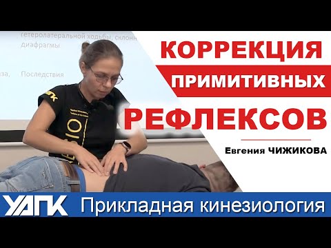 Видео: Диагностика и коррекция примитивных рефлексов  (Е.Чижикова)