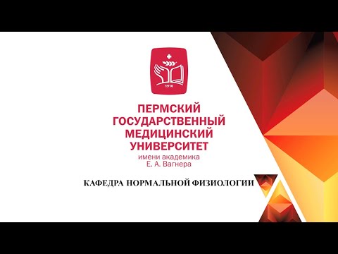 Видео: Скорость оседания эритроцитов