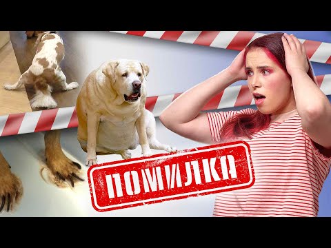 Видео: Помилки Власників Собак | Як Помилки Утримання Можуть Нашкодити Вашому Собаці? | Поговоримо Про