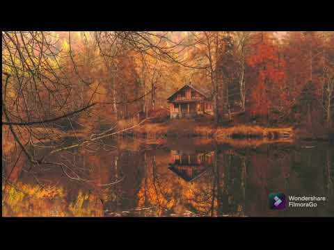 Видео: 15.Өргөл өргөх нь