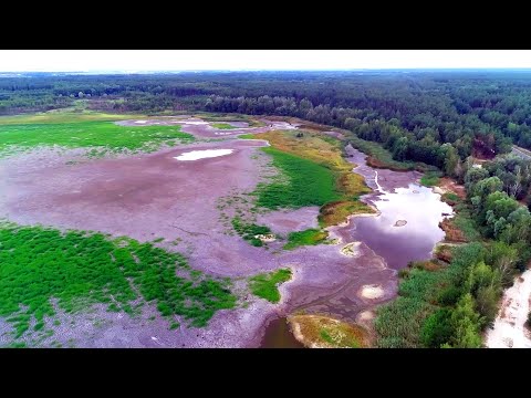 Видео: Чому у Лебедині зникає озеро?