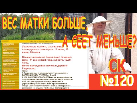Видео: СК-120. Почему роевые матки и тих.смены весят больше свищевой, а расплода дали меньше? Пчеловодство+