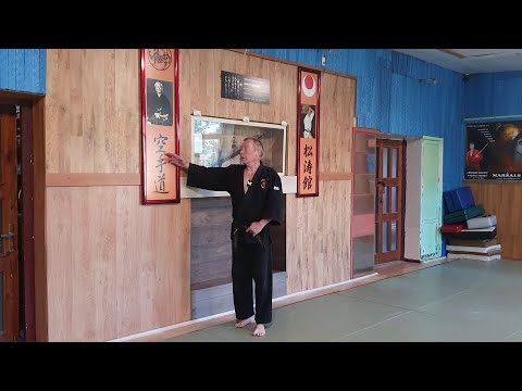 Видео: Шотокан - лучшее каратэ?