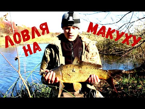 Видео: Рыбалка на ЗАКИДУШКИ на МАКУХУ. Ловля Карпа, Сазана в Октябре 2021