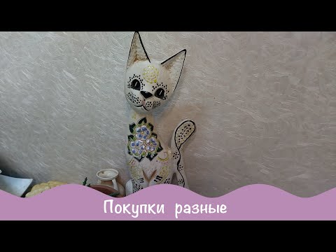 Видео: Покупки 14 января. Декор для дачи и семена.