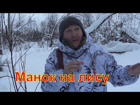 Видео: Манок на лису #1 охота на лис