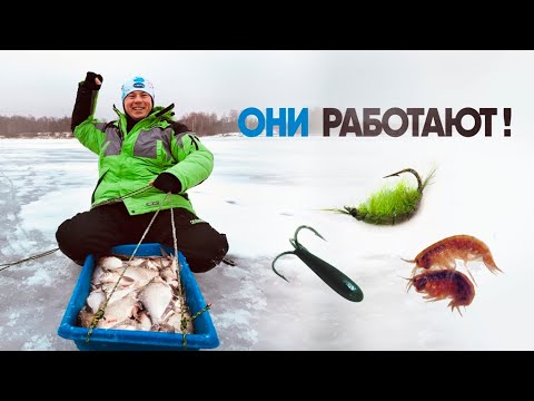 Видео: ОТКРЫЛИ СЕЗОН ПО ЛЕЩУ! Проверил чертика с мухомормышем! (УЛОВИСТАЯ БЕЗМОТЫЛКА для подмосковья)