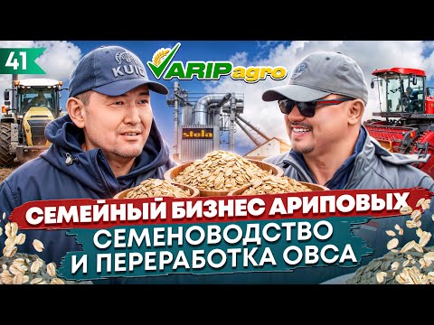 Видео: Как семья Ариповых строит успешный агробизнес: от семян до переработки овса!