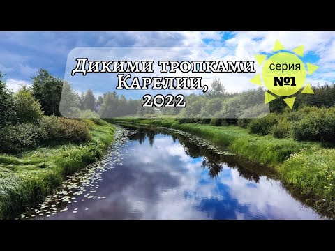 Видео: Большой летний поход на велосипедах по диким тропкам Карелии, август 2022
