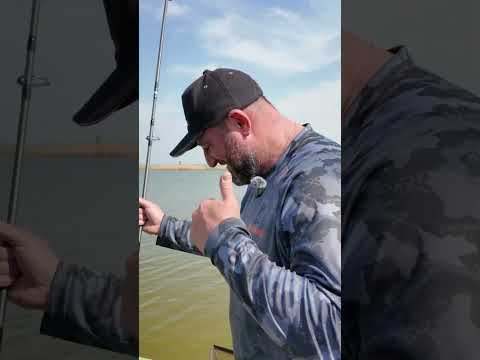 Видео: КАК ПОЙМАТЬ ОСТОРОЖНУЮ РЫБУ?