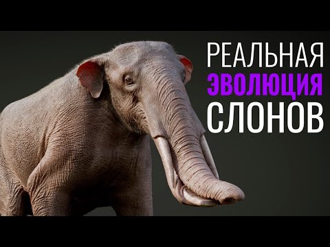 Видео: Реальная Эволюция Слонов  От клыков до бивней