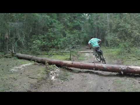 Видео: Минск - Колодищи через лес