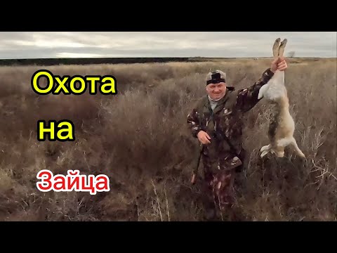 Видео: Охота на зайца ,три охотника 
