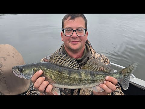 Видео: Рыбалка на судака в районе Коломны на Оке