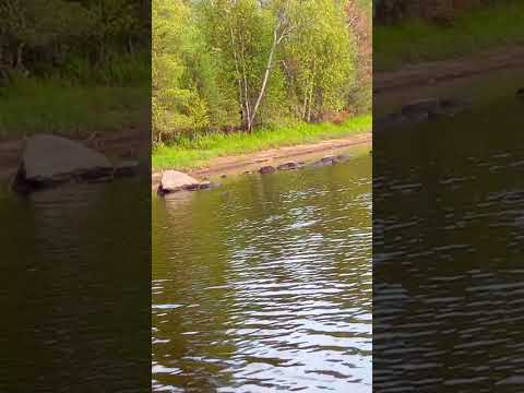 Видео: Нет воды..