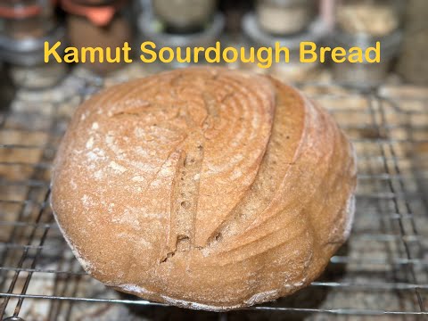 Видео: Хлеб на закваске из камута ~ Изучение древних злаков