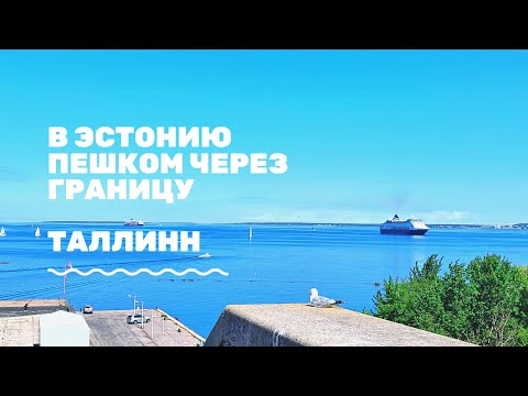 Видео: В Эстонию, самый удобный способ добраться. Таллин, Горхолл, центр, Baltijaama turg