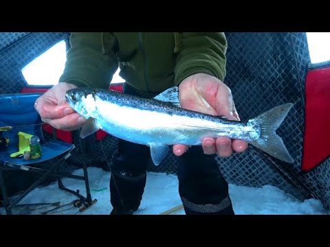 Видео: Форель,Кижуч Аляски. Рыбалка в сильный мороз.