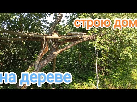 Видео: строю дом на дереве