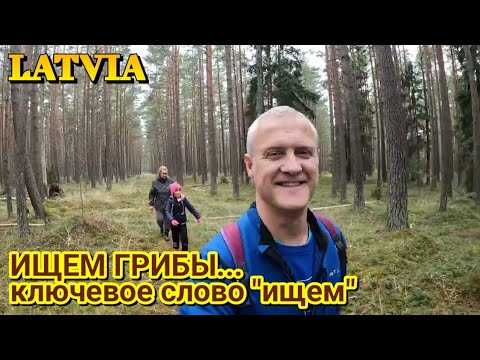 Видео: ИЩЕМ ГРИБЫ в ЛЕСУ возле МОРЯ - 31.10.2022. / ЛАТВИЯ, г.ВЕНТСПИЛС #23