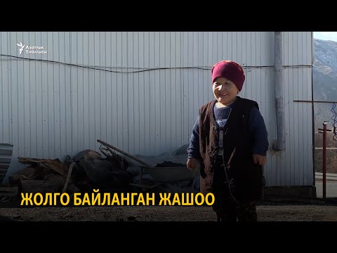 Видео: Жолго байланган жашоо