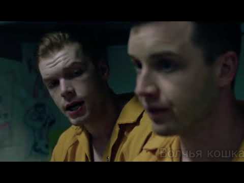 Видео: Йен и Микки || Веснушки || Ian & Mickey || Gallavich || Галлавич